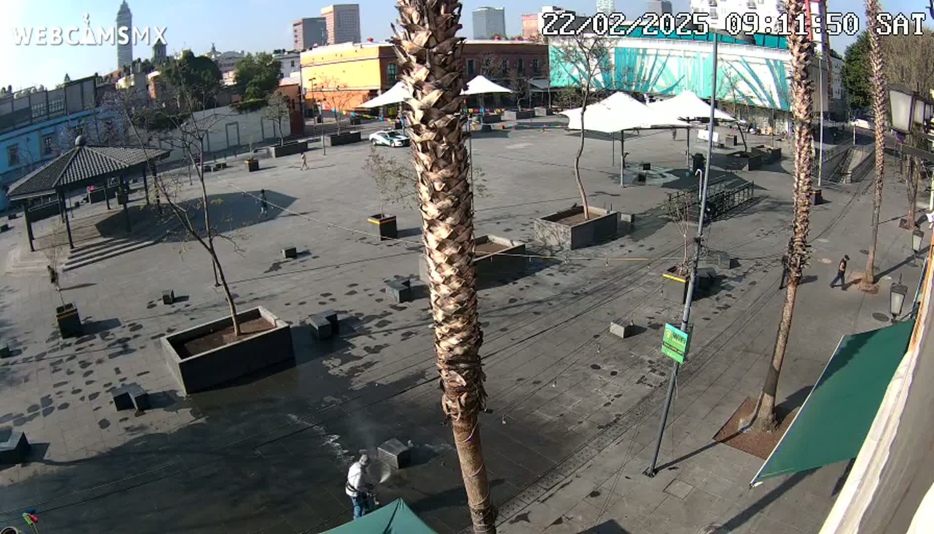 A person pressure washes a plaza on a sunny day, surrounded by trees, plants in square planters, and buildings in the background.