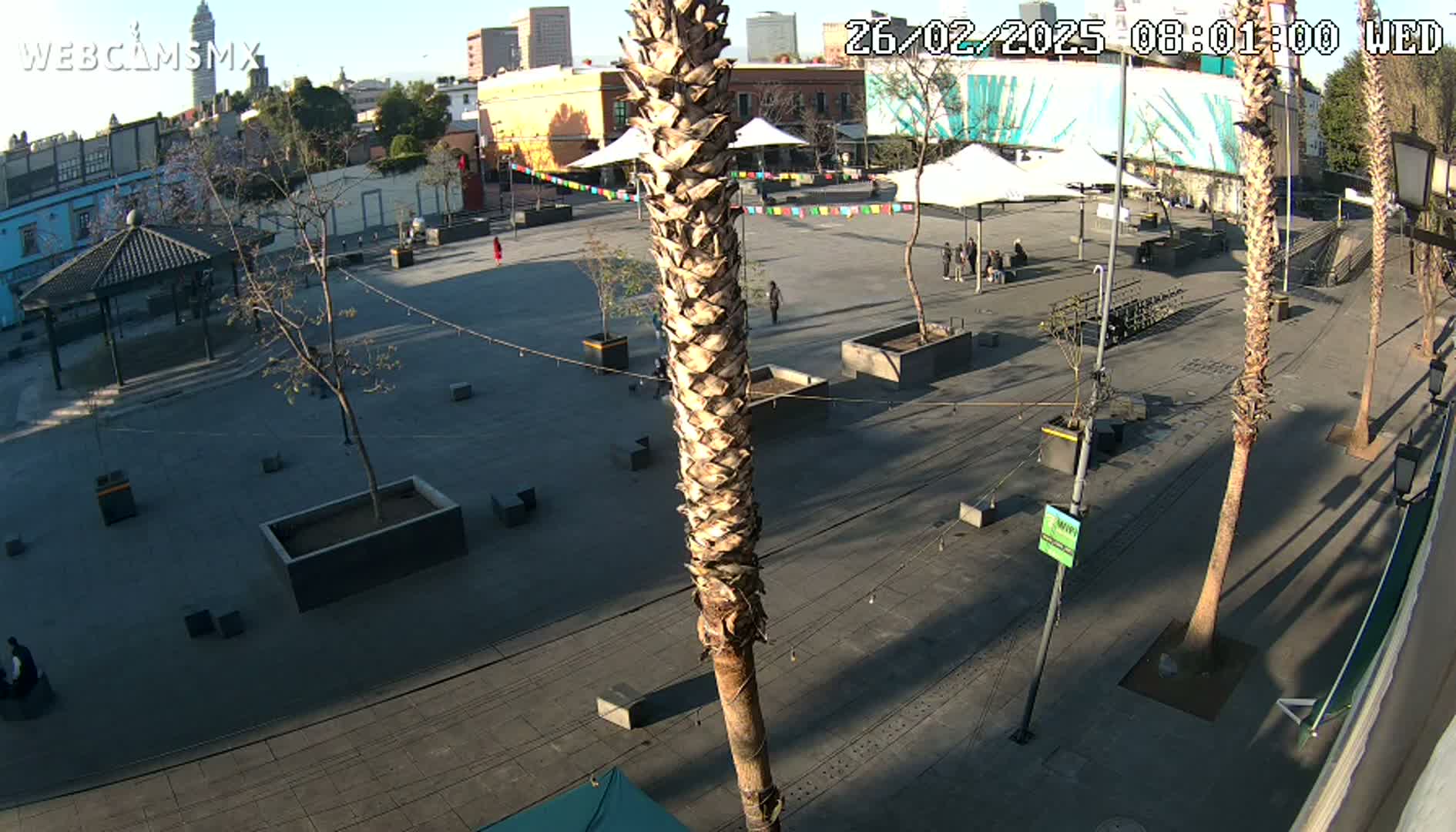 A mostly empty plaza with several palm trees and potted plants, under a sunny sky.