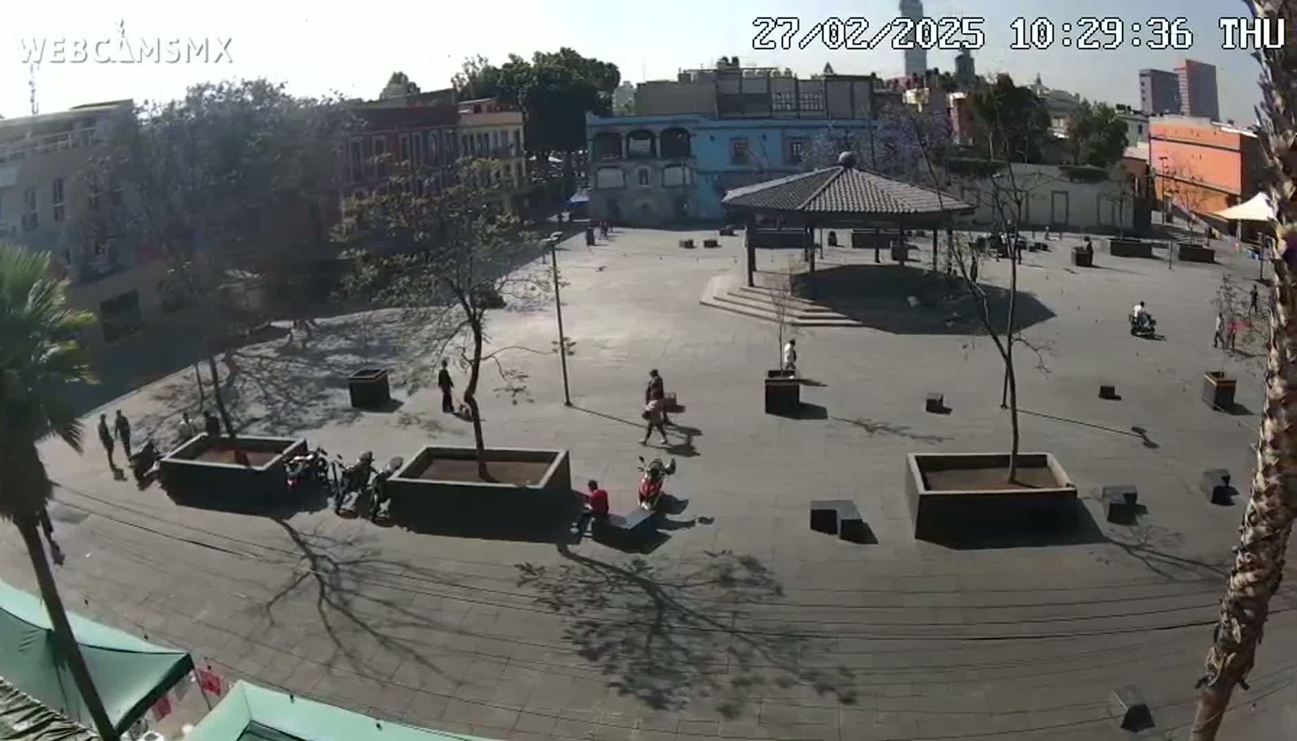 A mostly empty plaza on a sunny day, with a few people and several potted trees scattered throughout.