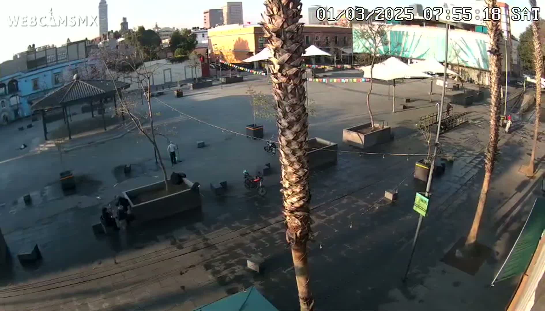A mostly empty plaza with several palm trees, some buildings, and a few people is seen on a sunny day.
