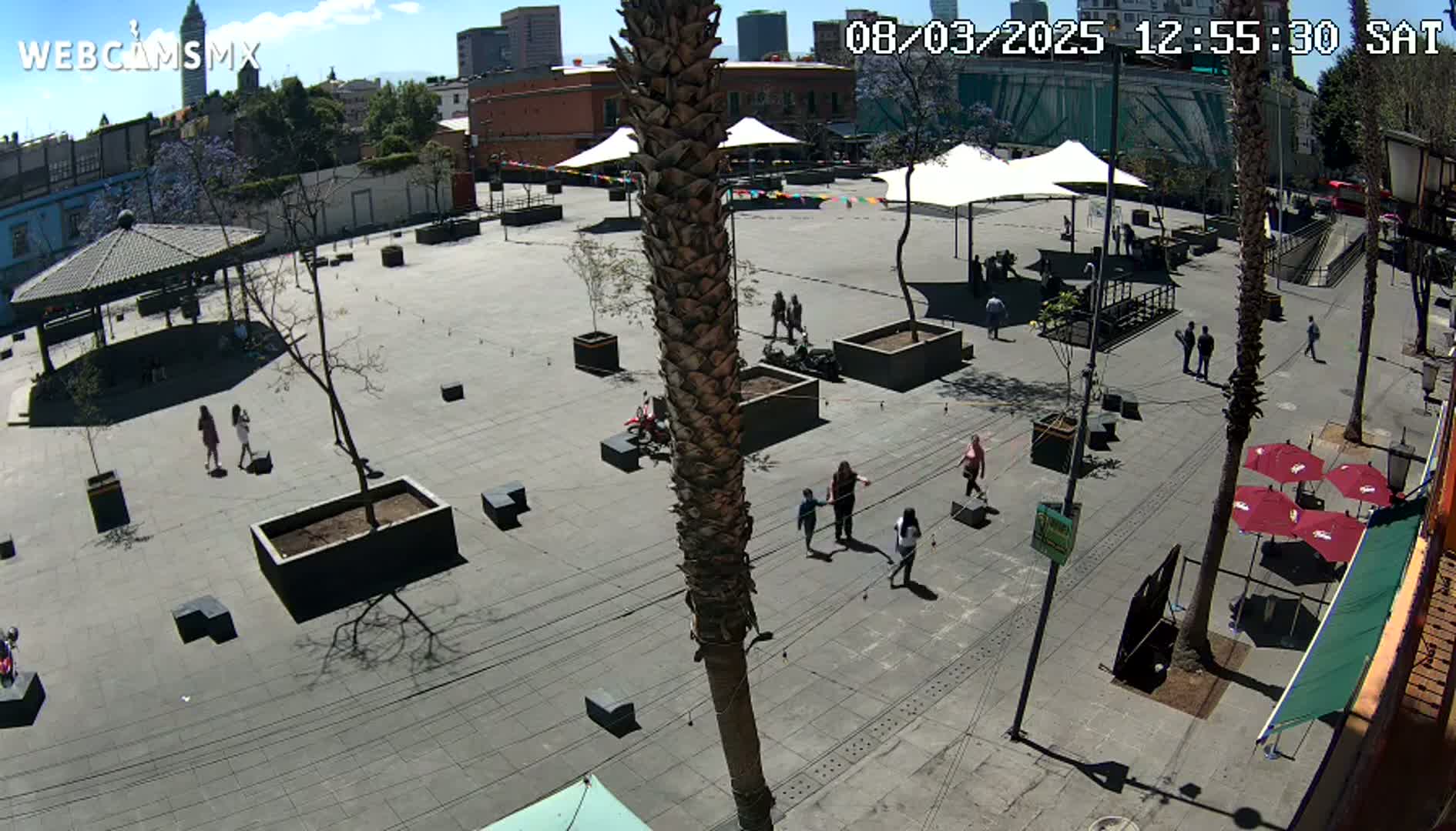 A mostly empty plaza with a few people walking around under a sunny sky, featuring several trees, planters, and umbrellas.