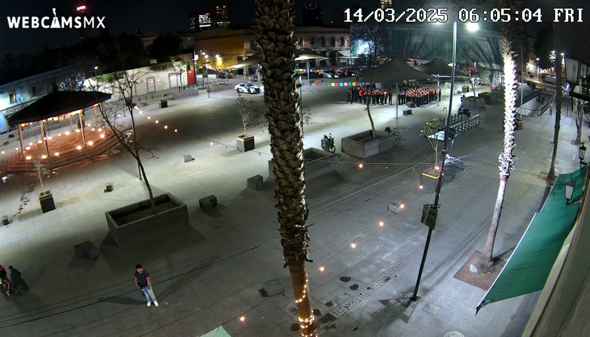 A nighttime, outdoor view of a plaza with a tall palm tree in the center, several people, and string lights illuminating the paved area.