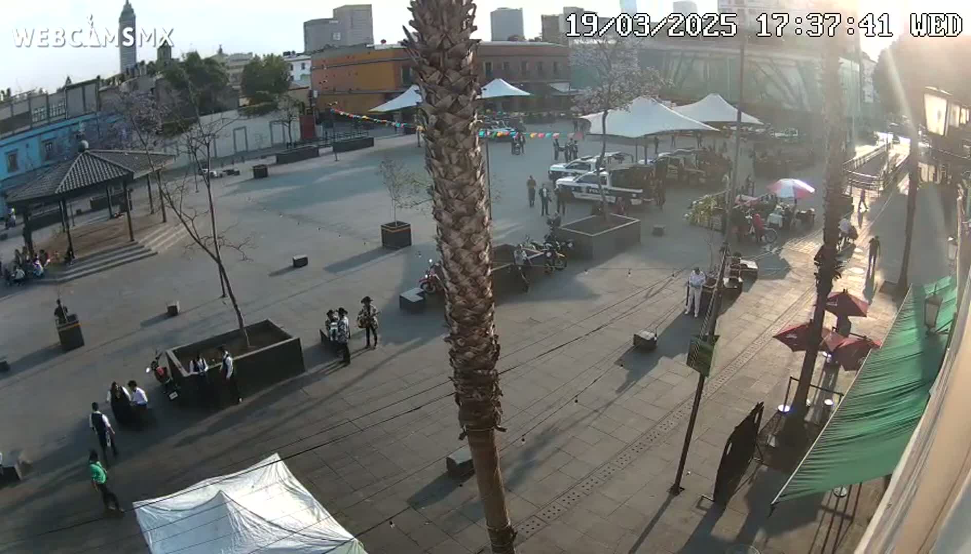An outdoor plaza scene on a sunny day shows people gathered in groups, cars parked near some tents, and a tall palm tree in the center of the view.