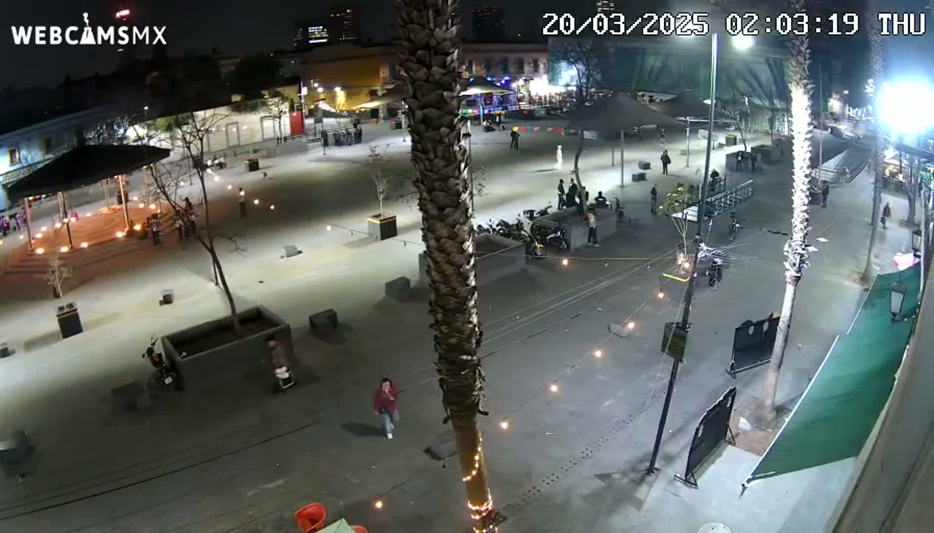 An outdoor plaza at night, sparsely populated with people, is lit by string lights and features a tall palm tree in the center.