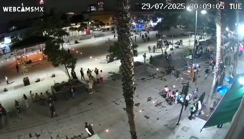 A nighttime, aerial view of a plaza with people gathered in groups, some performing music, under lights with a tall palm tree in the foreground.