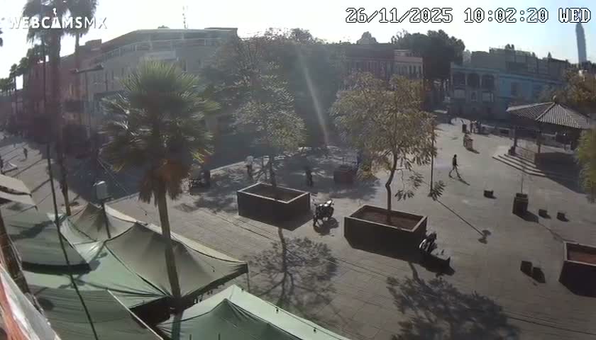 At night, a quiet city street and public square, illuminated by streetlights, feature buildings, palm trees, a gazebo, and a few individuals under a clear sky.