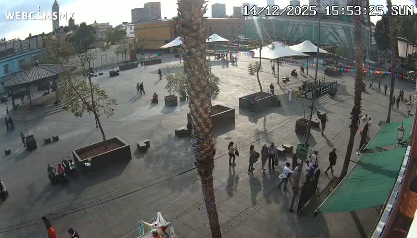 At night, a quiet city street and public square, illuminated by streetlights, feature buildings, palm trees, a gazebo, and a few individuals under a clear sky.