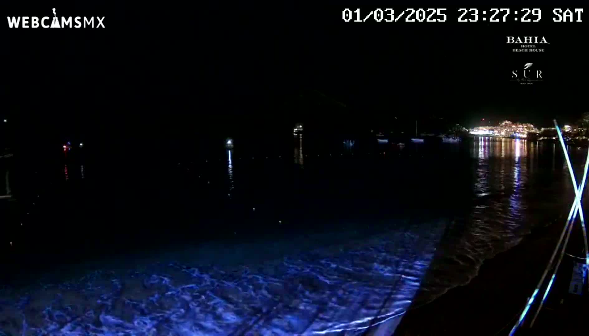 A nighttime view of dark water illuminated by faint blue bioluminescence near a shoreline with distant city lights reflecting on the water.