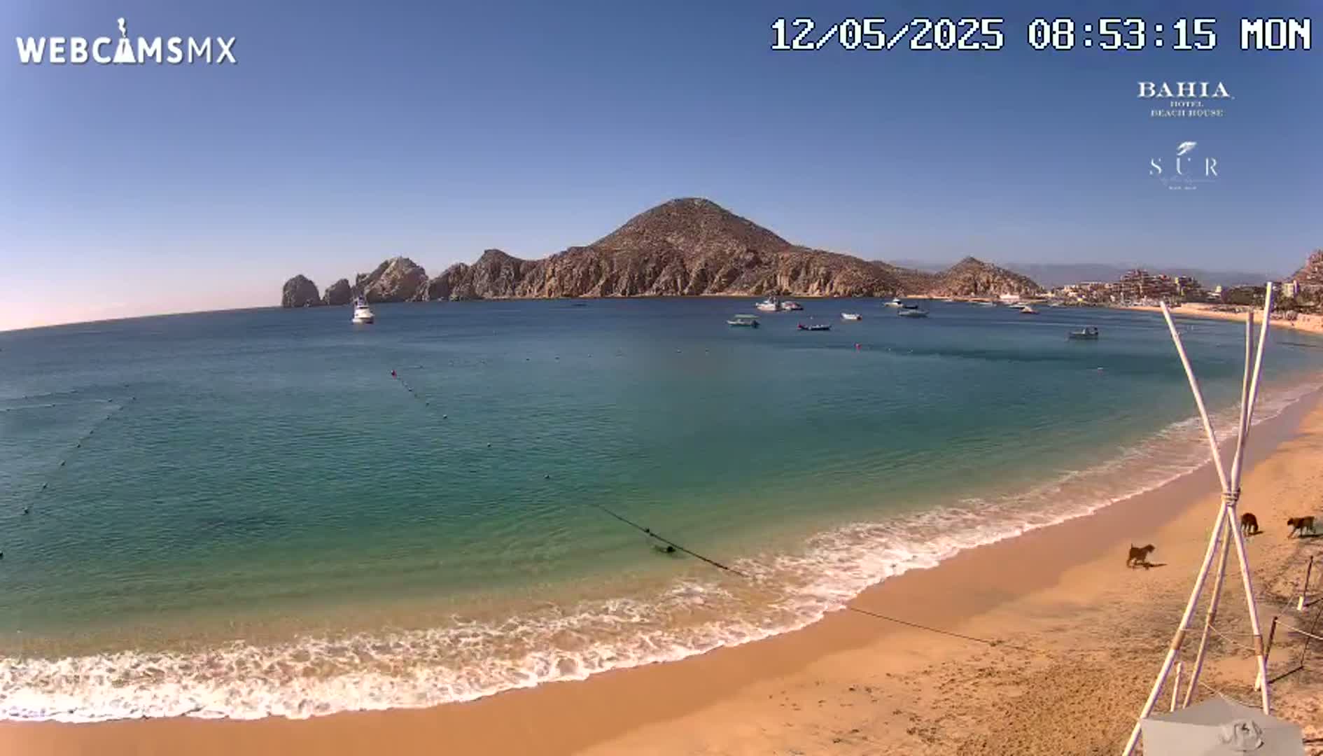 A sandy beach with calm, clear turquoise water laps gently against the shore under a bright, sunny sky, with a mountainous peninsula visible in the background and several boats at anchor in the bay.