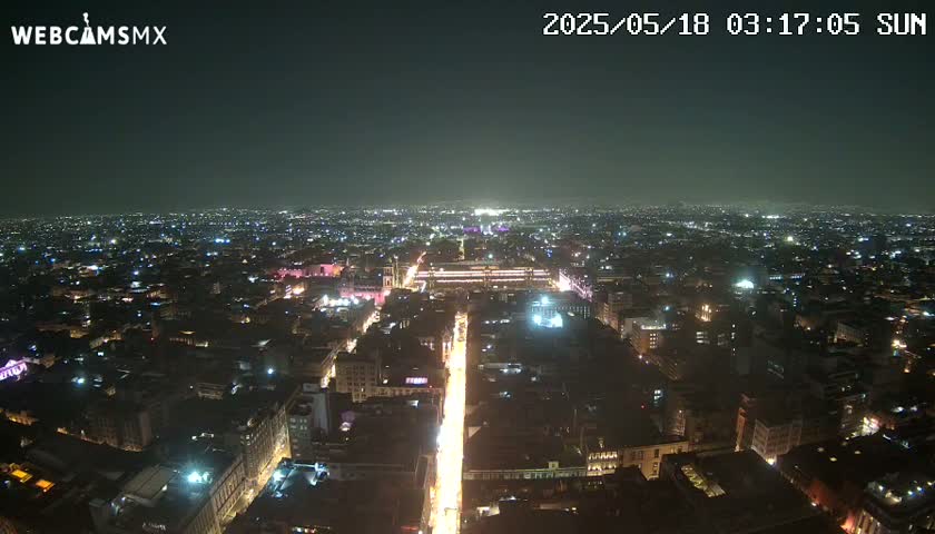 A nighttime, high-angle view of a sprawling city with brightly lit streets and buildings extending to the horizon under a clear, dark sky.