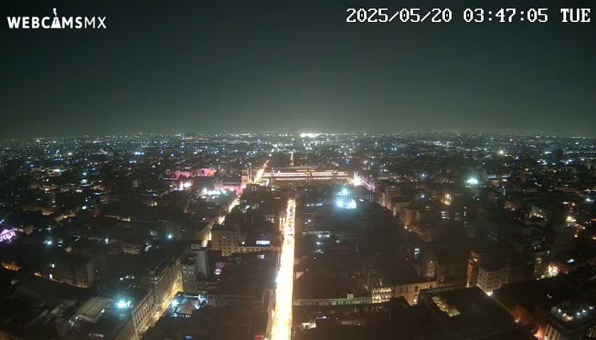 A nighttime, high-angle view of a sprawling city illuminated by countless lights, extending to the horizon under a clear, dark sky.
