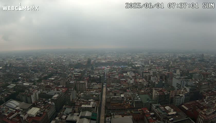 A hazy, overcast view of a sprawling city from a high vantage point shows a vast expanse of closely packed buildings extending to the horizon.