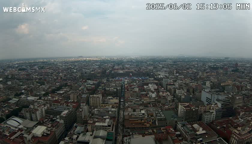 A high-angle, long shot of a sprawling city under an overcast sky.