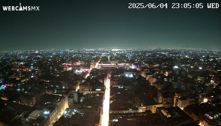 A brightly lit city at night is viewed from a high vantage point, under a clear, dark sky.
