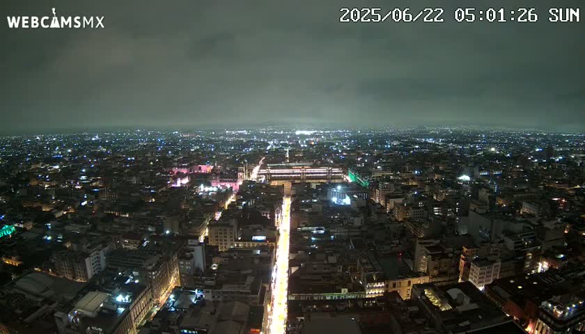 A brightly lit city at night stretches to the horizon under a dark, overcast sky.