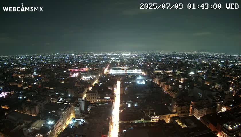 A nighttime, aerial view of a sprawling city with brightly lit streets and buildings under a clear, dark sky.
