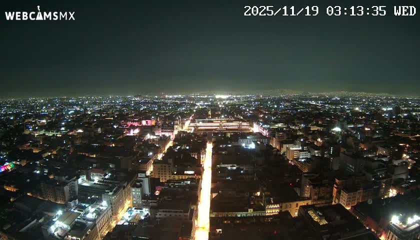 A vast city stretches out at night, glowing with countless lights from buildings and streets, including a prominent, brightly lit avenue leading into the distance, beneath a clear sky.