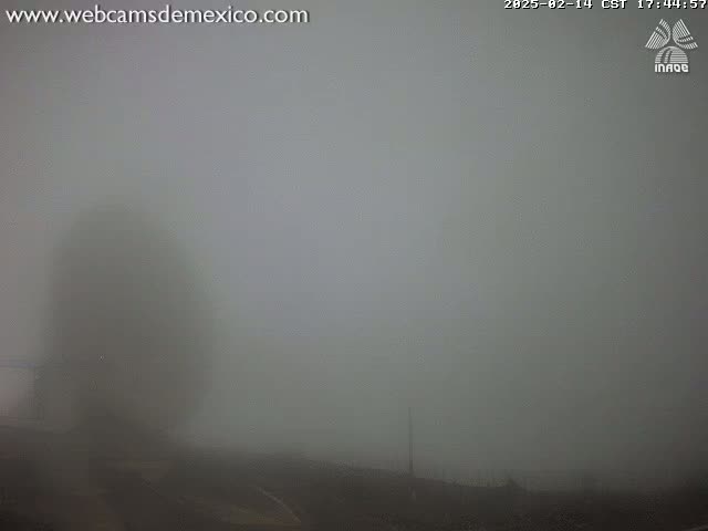A dense fog obscures the view of a dark, possibly tree-like object and the surrounding landscape.