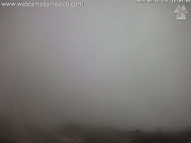 A very thick fog obscures the view of an outdoor landscape.