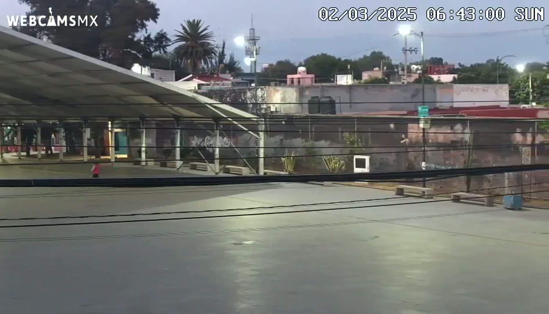 A person walks across an empty plaza under a covered structure at dawn, with buildings and trees visible in the background.