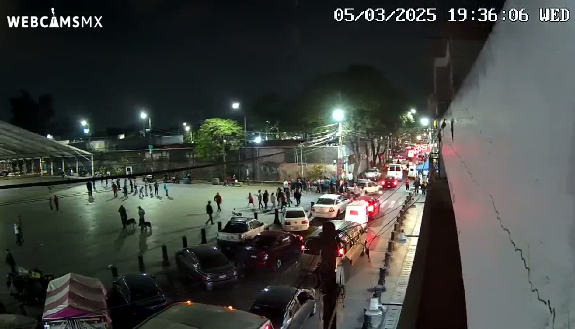 A nighttime aerial view shows a street with heavy traffic and a nearby plaza with people and dogs, under clear skies.
