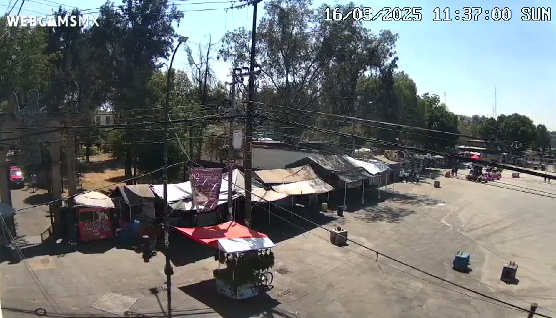 A sunny outdoor scene shows several market stalls set up in a paved area surrounded by trees and power lines.