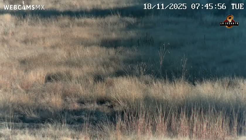Pyramid of the Sun- Pirámide del Sol, Teotihuacán Pyramids Live Cam - Teotihuacan, Estado de Mexico, Mexico