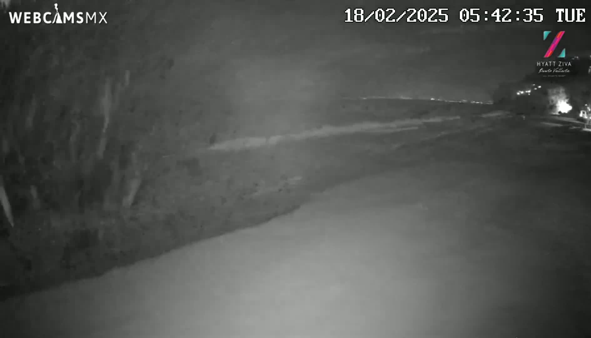 A nighttime, low-light view shows a dark, empty road and vegetation to the left.