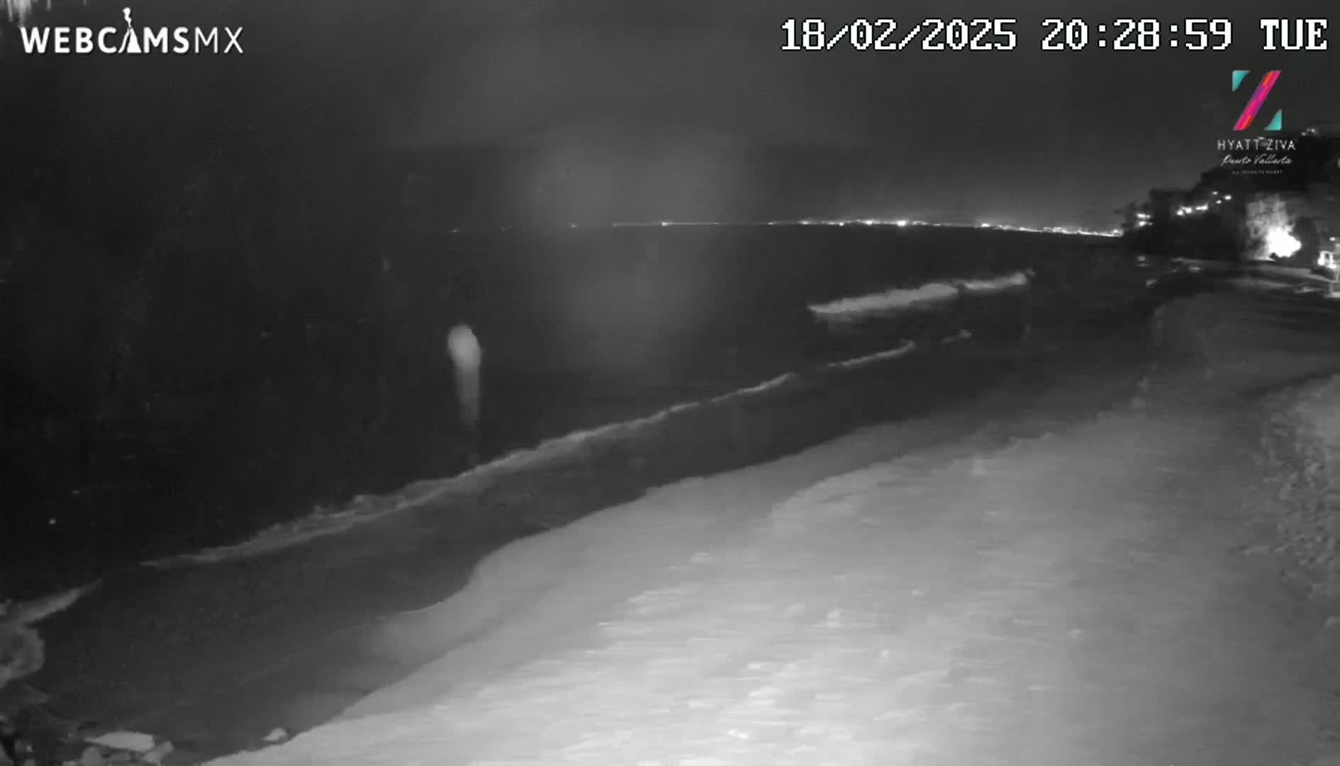 A nighttime, black-and-white view of a dark ocean shore with waves lapping onto a snowy beach under a clear, dark sky.