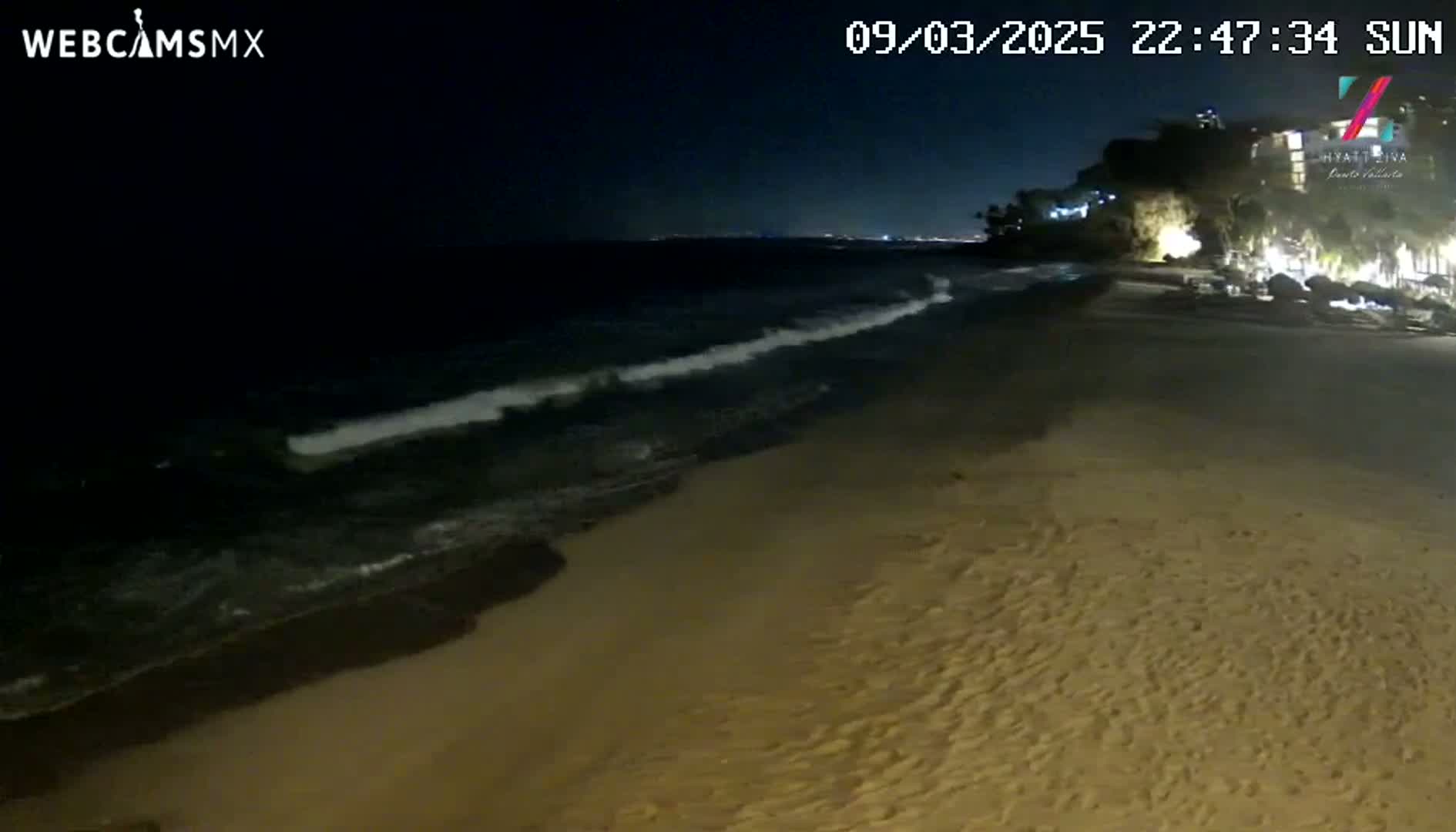 A dark sandy beach at night is gently lapped by small waves under a clear sky.