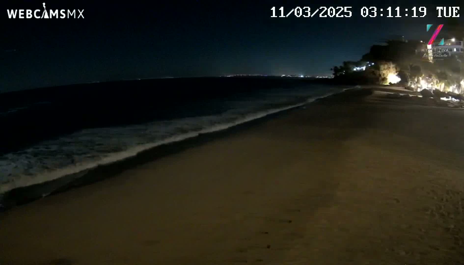 A dark sandy beach at night, with gentle waves lapping the shore under a clear sky.