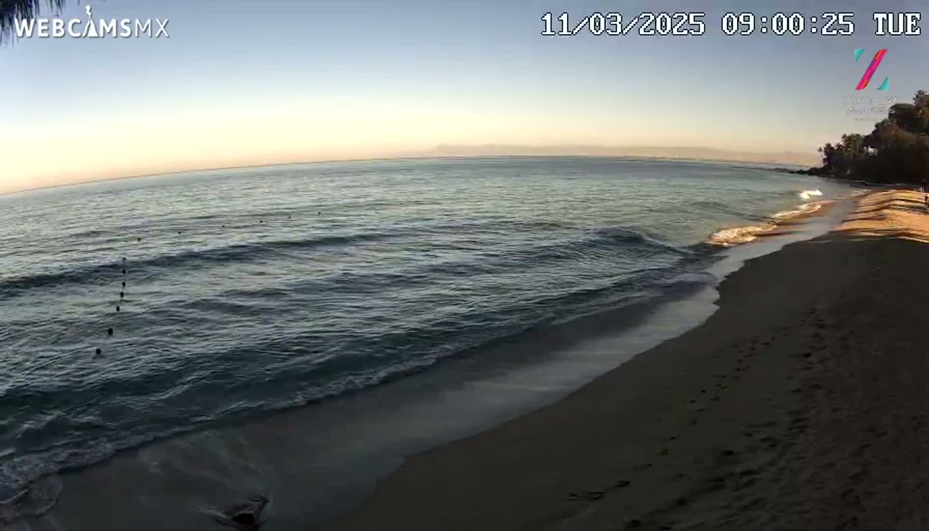 A sandy beach slopes down to a calm ocean under a clear, dusky sky.