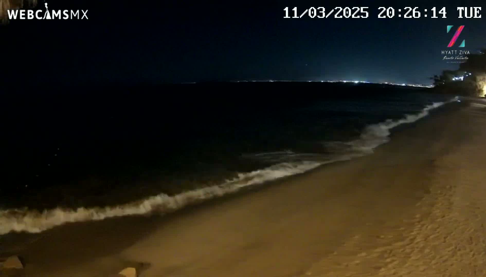 Gentle waves lap at a sandy beach at night under a clear, dark sky.