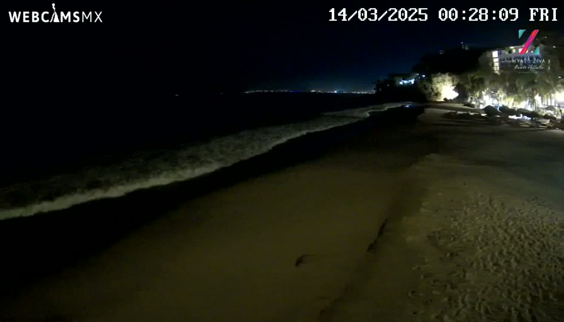 A dark sandy beach at night is gently lapped by small waves under a clear, dark sky.