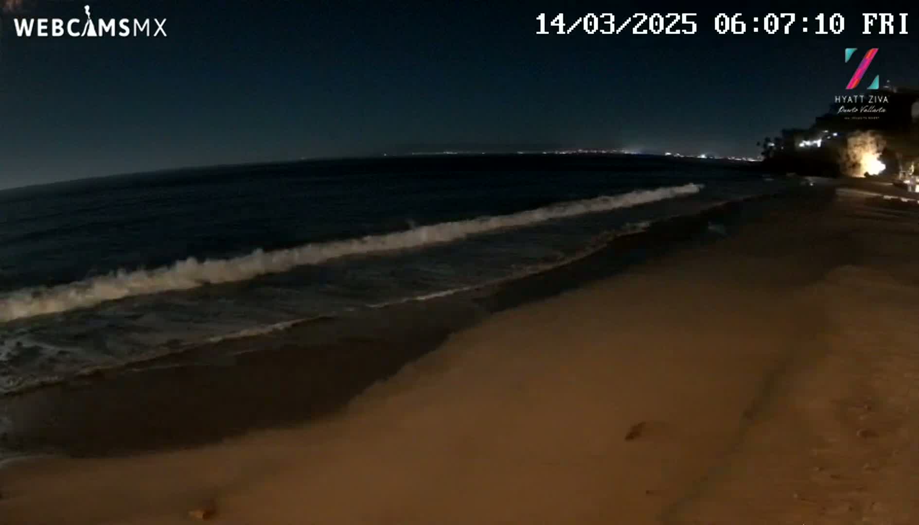 Under a dark night sky, gentle waves lap a sandy beach.