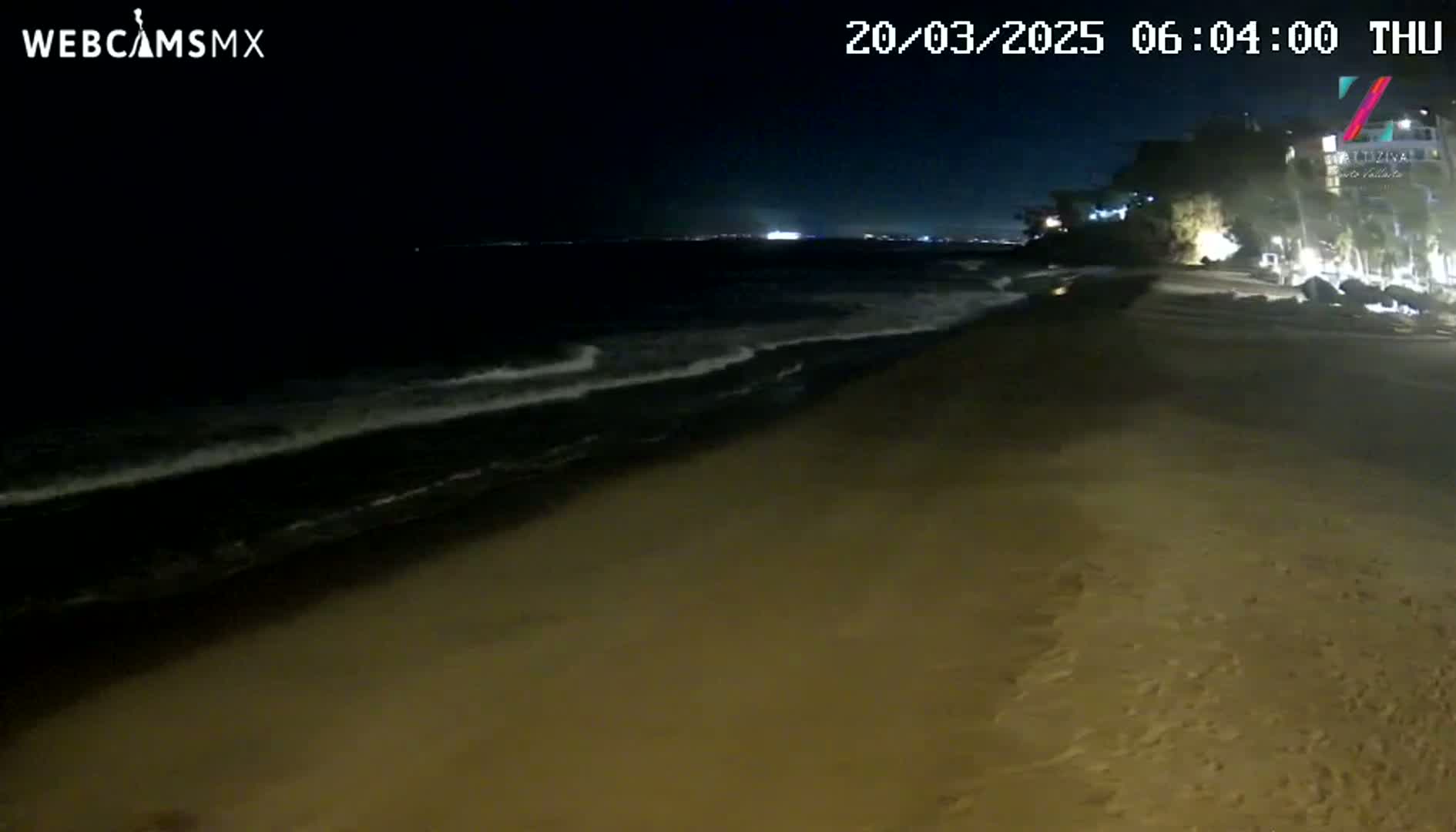 A dark sandy beach at night is gently lapped by small waves under a clear, moonless sky.