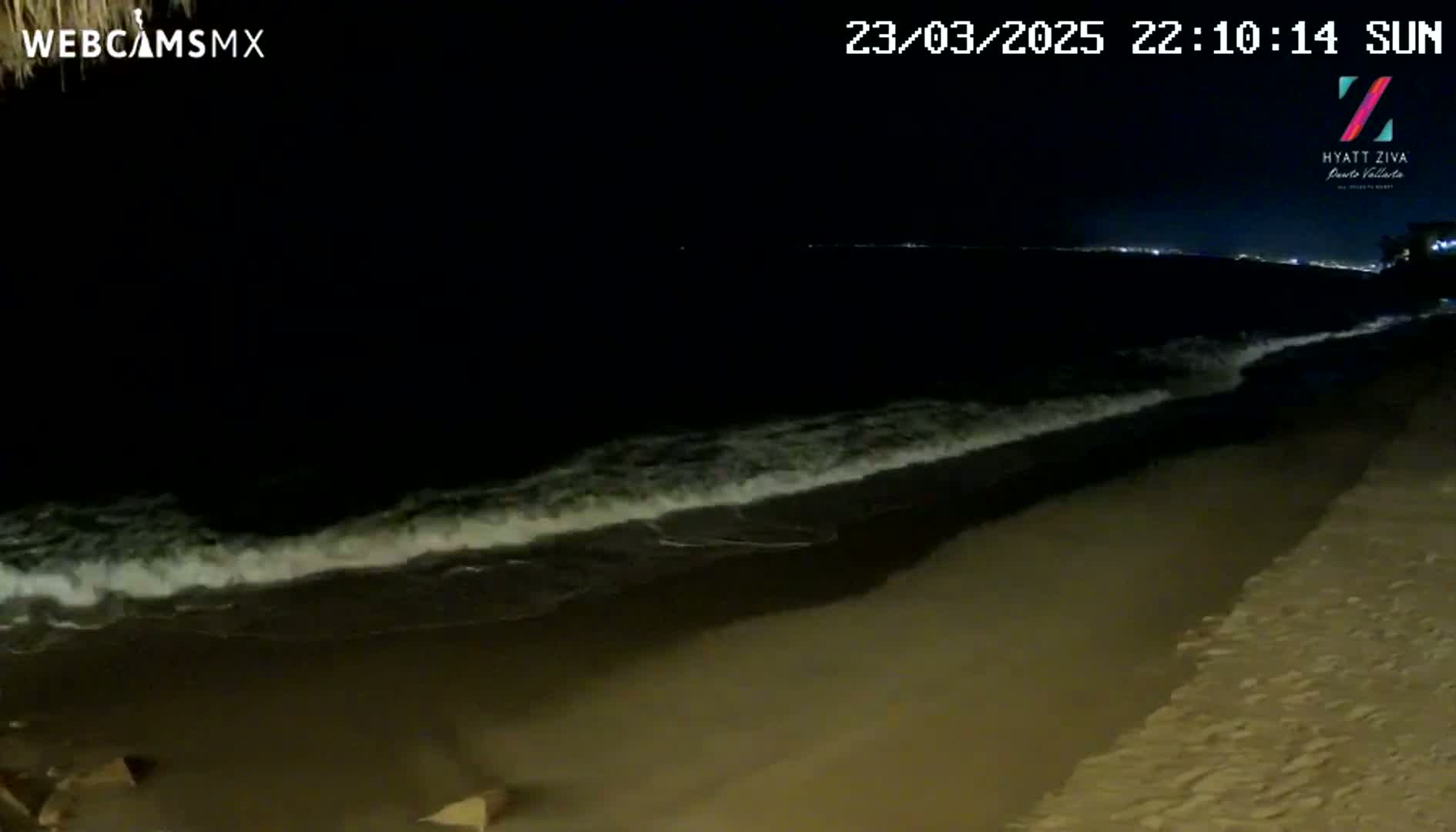 Gentle waves lap a dark sandy beach at night under a clear sky.