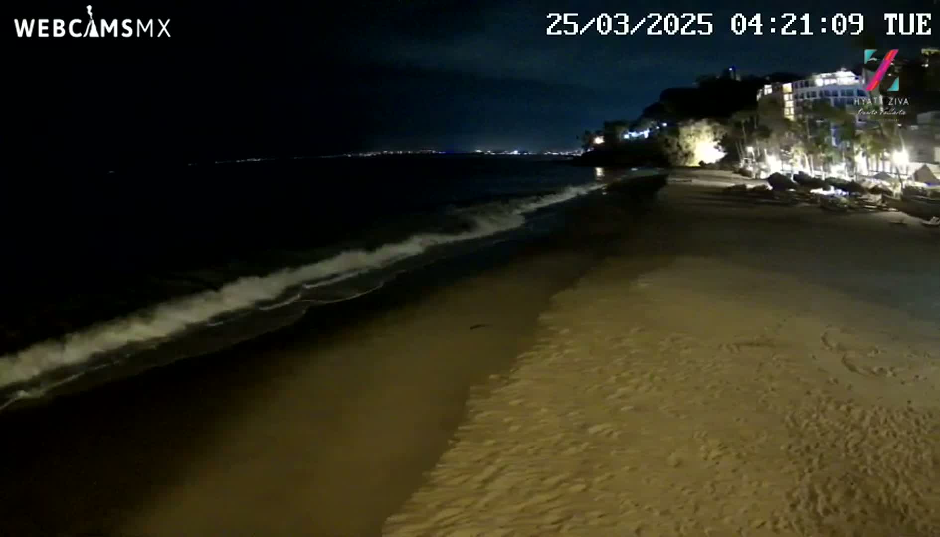 At night, gentle waves lap a sandy beach near a dimly lit shoreline with buildings visible in the distance.