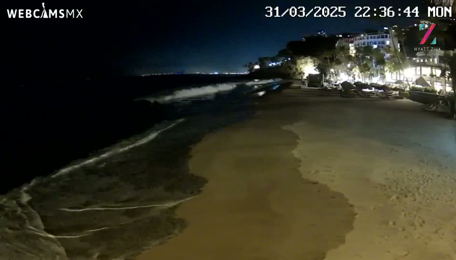 Waves lap onto a sandy beach at night, with lights visible from buildings on a cliff in the background.
