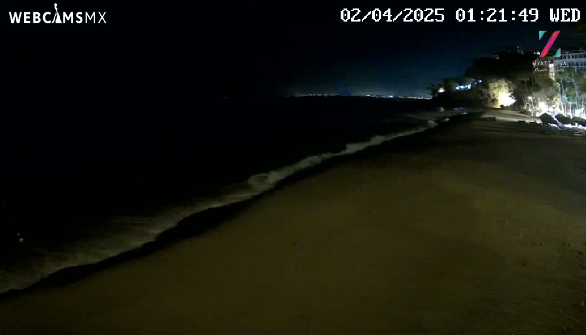 Gentle waves lap a dark sandy beach at night under a clear, dark sky.