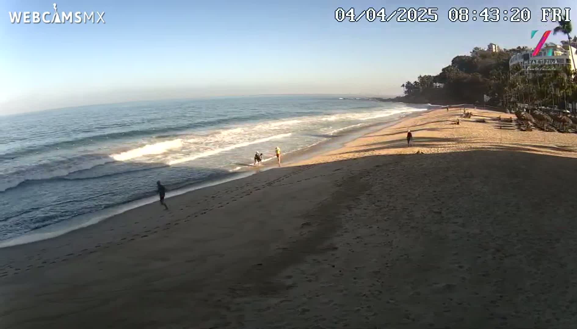 A sandy beach slopes down to a calm ocean under a clear, bright sky, with several people walking along the shore.