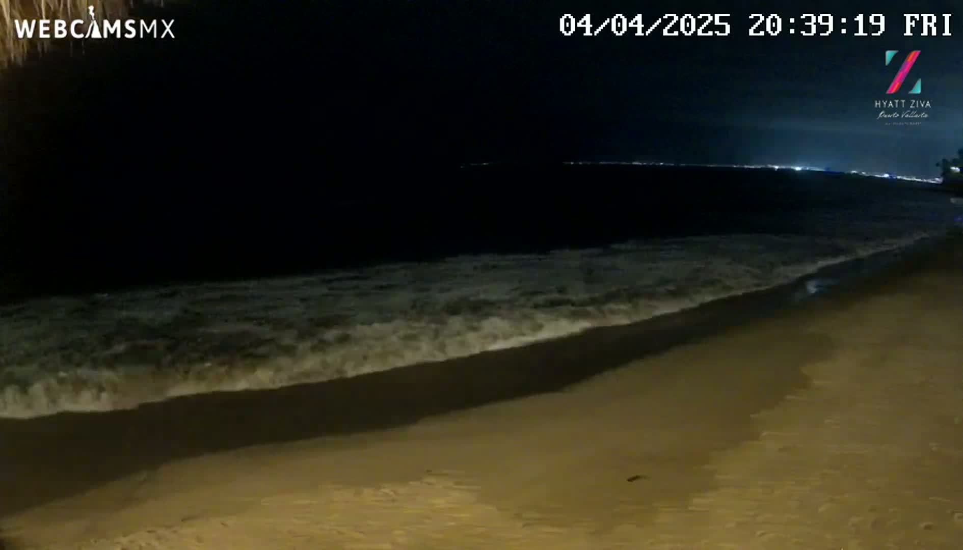 At night, gentle waves lap a sandy beach under a dark sky.