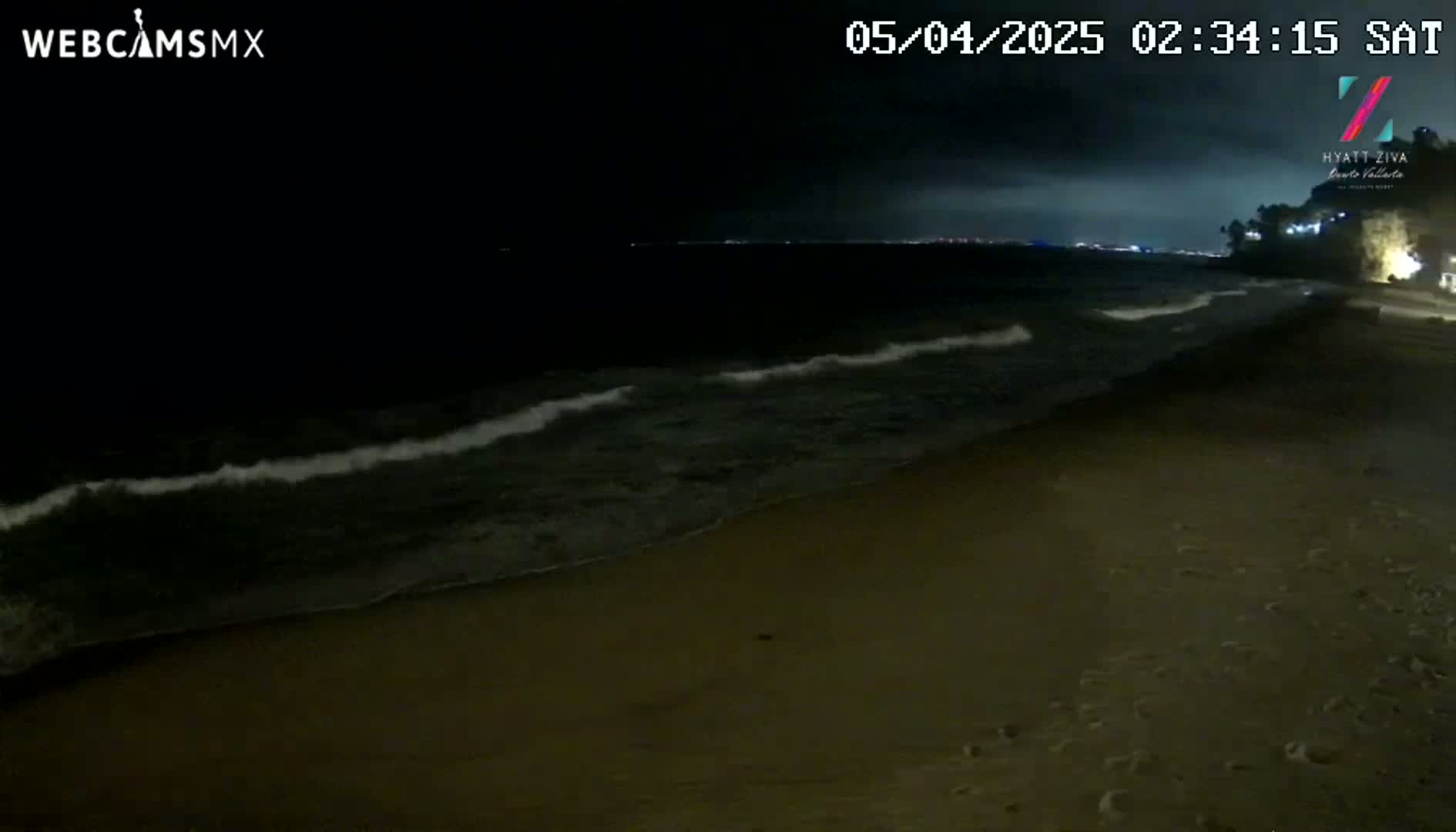 Under a dark, nighttime sky, gentle waves lap onto a sandy beach.