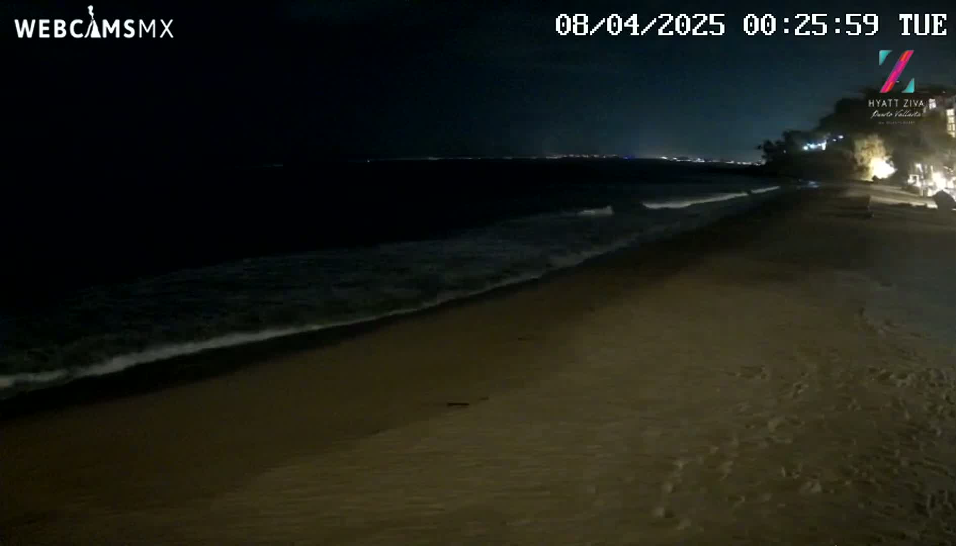A dark sandy beach at night with gentle waves lapping the shore under a clear sky.