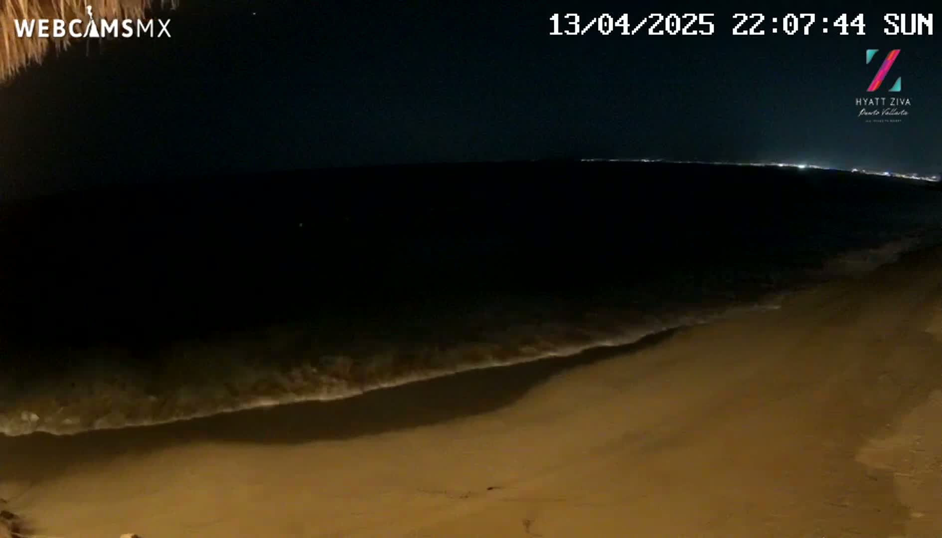 A dark sandy beach at night is gently lapped by small waves under a clear, starry sky.