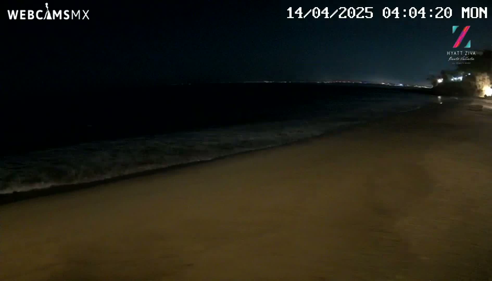A dark sandy beach at night is gently lapped by waves under a clear, dark sky.