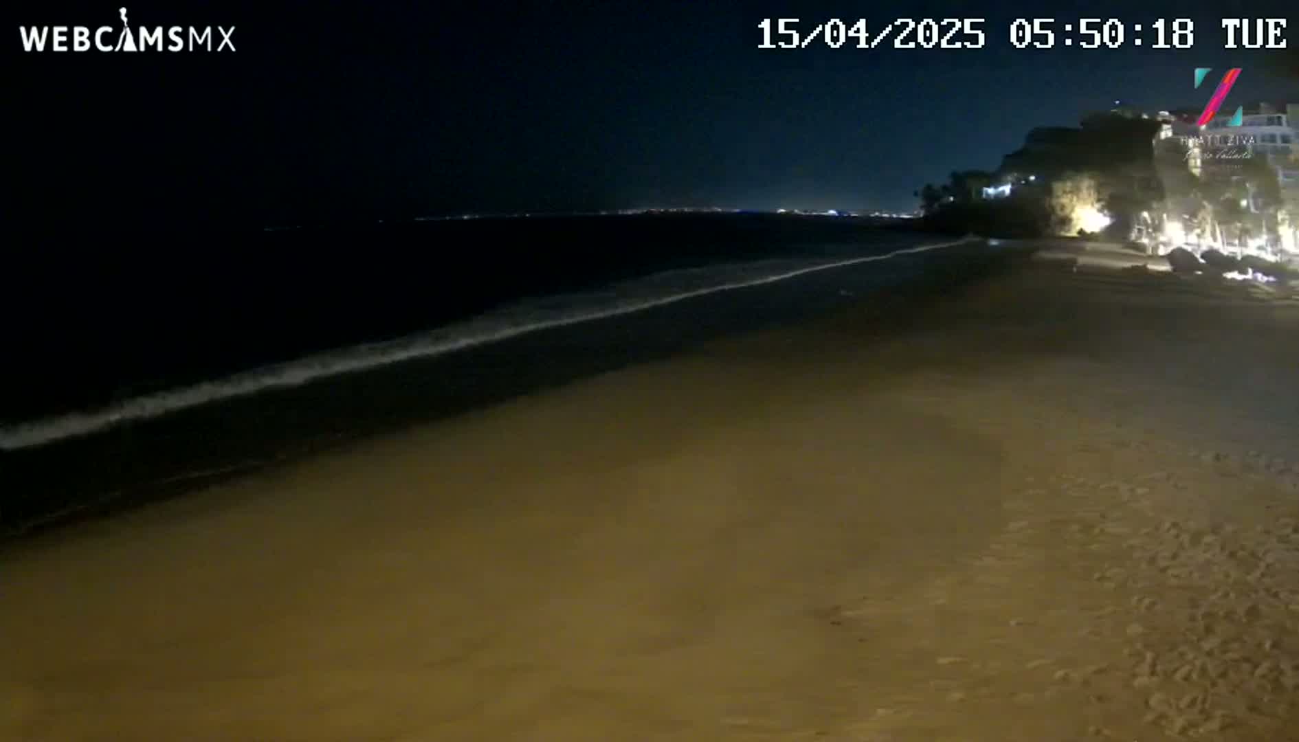 A dark, sandy beach at night is gently lapped by waves under a clear sky, with lights visible in the distance.