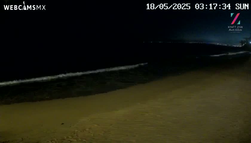 At night, gentle waves lap a sandy beach under a dark sky.