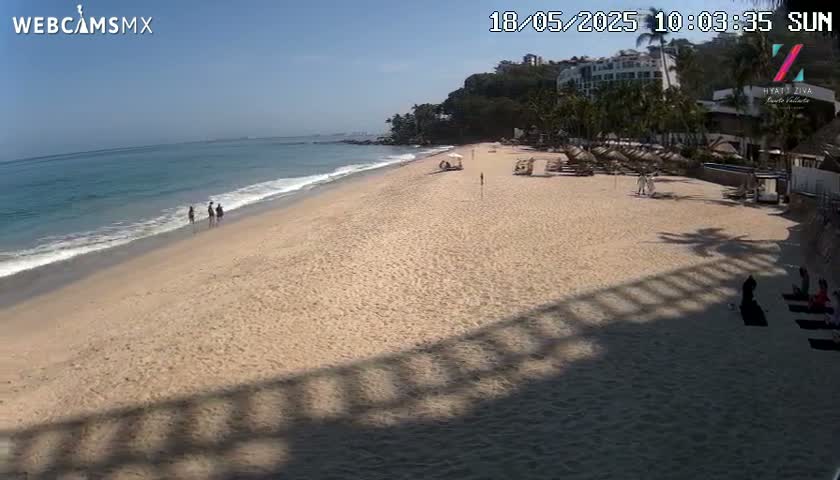A sandy beach with a few people on it slopes down to a calm ocean under a clear blue sky.