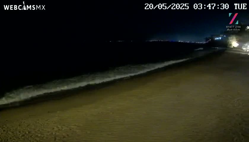 A sandy beach at night is gently lapped by small waves under a dark sky.